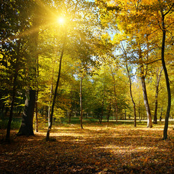 Similar image 11051657