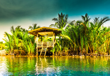 Similar image 11145072