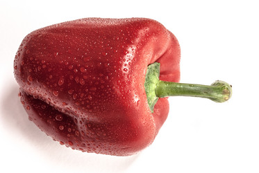 Similar image 11145080