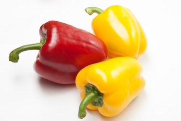 Similar image 11144835