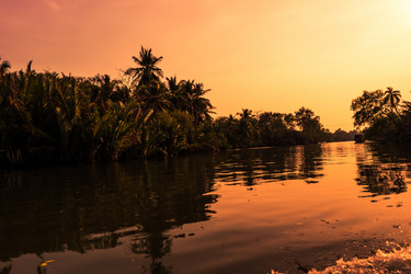 Similar image 11144837