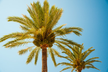 Similar image 11145018