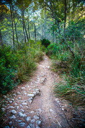 Similar image 11145023