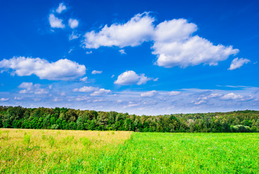 Similar image 11145056