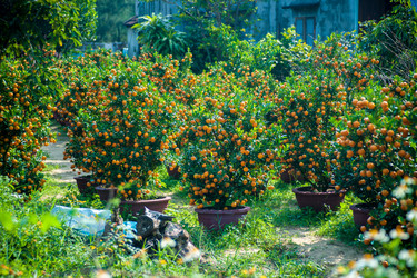 Similar image 11145060