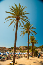 Similar image 11145065