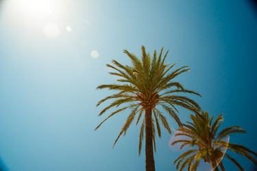 Similar image 11145091