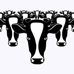 Similar image 11054268