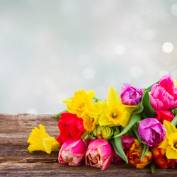 Similar image 11143666