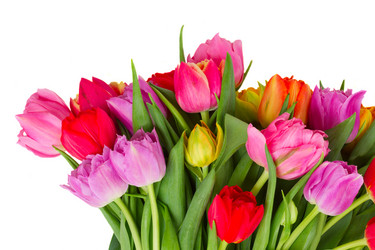 Similar image 11143688