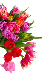 Similar image 11143689