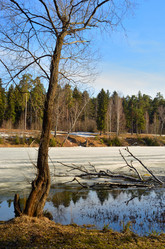 Similar image 11052882