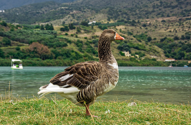 Similar image 11054544