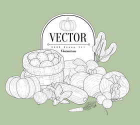 Similar image 11371618