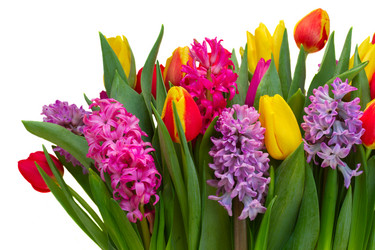 Similar image 11142589