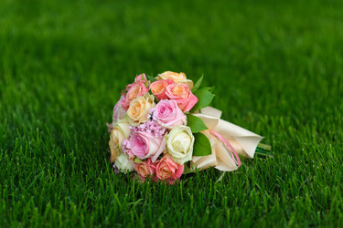 Similar image 11117334