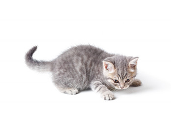 Similar image 11172125