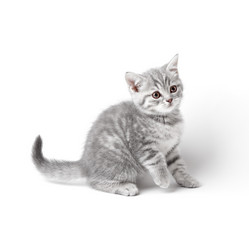 Similar image 11172127