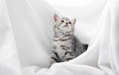 Similar image 11172131