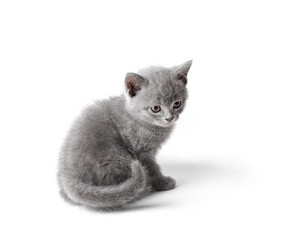 Similar image 11172205