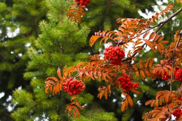 Similar image 11053609