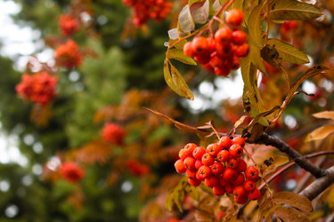 Similar image 11053611