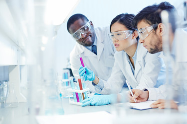 Similar image 11074792