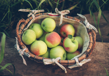 Similar image 11137601