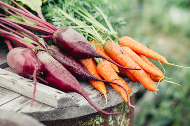 Similar image 11137605