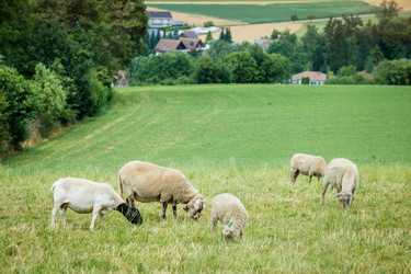 Similar image 11141488