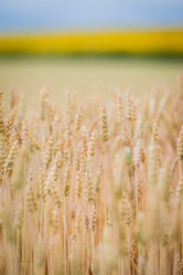 Similar image 11141489