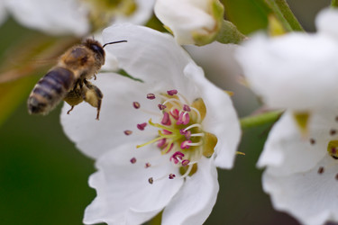 Similar image 11058200