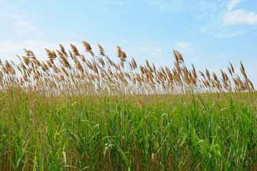 Similar image 11134636