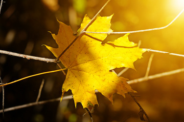 Similar image 11134644