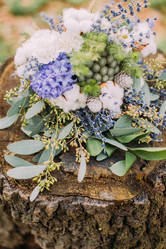 Similar image 11147316