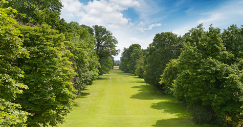 Similar image 11064309