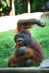 Similar image 11138139