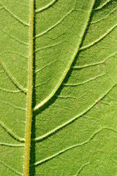 Similar image 11134654