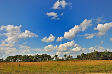 Similar image 11134659