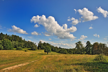 Similar image 11135858