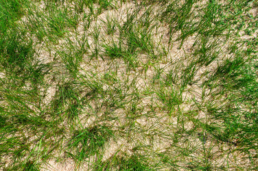 Similar image 11135861