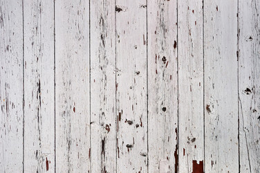 Similar image 11135862