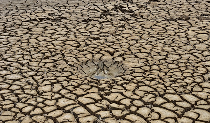 Similar image 11135863