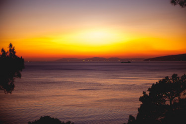 Similar image 11125701