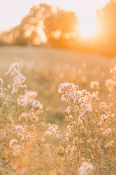 Similar image 11147356