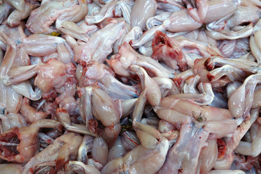 Similar image 11082256