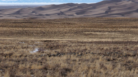 Similar image 11082819