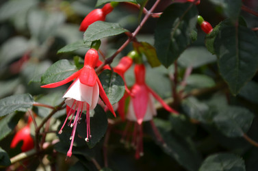 Similar image 11123418