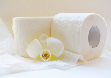 Similar image 11117112