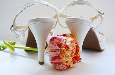 Similar image 11117117